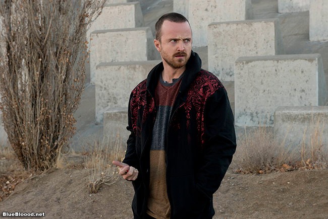 Breaking Bad Confessions S5 Ep11