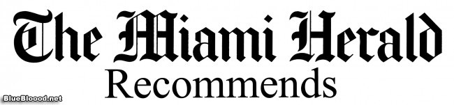 BLT in The Miami Herald, Librarians are Awesome
