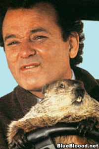 bill murray groundhog day punxsutawney phil