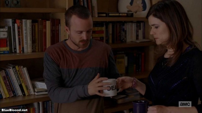 breaking bad aaron paul dea coffee mug marie schrader