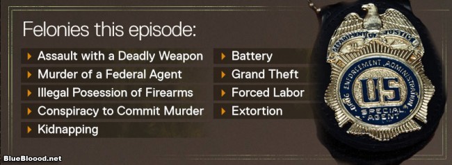 felonies this episode