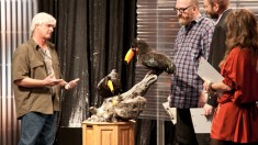 Immortalized on AMC, Competitive Taxidermy Reality Show