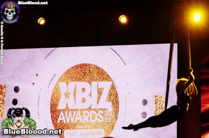 XBiz Awards 2016