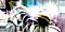 adorn_shadow's Avatar