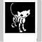 Silkes's Avatar
