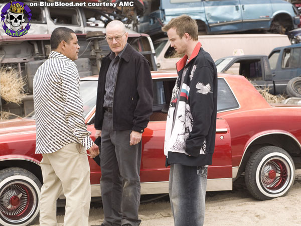 Blue Blood Breaking Bad Episode 201