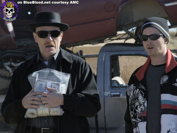 Blue Blood Breaking Bad Season 1