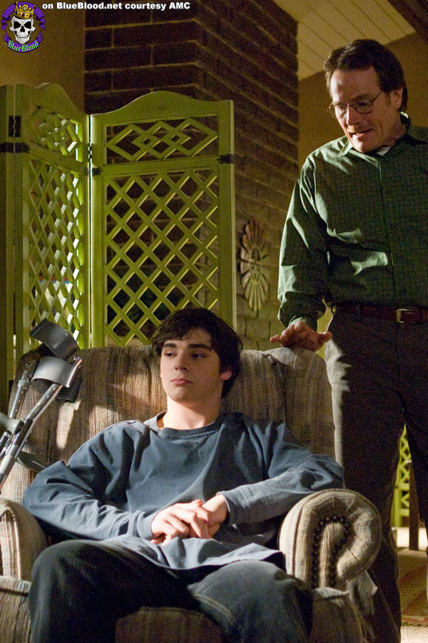 Blue Blood Breaking Bad Season 1