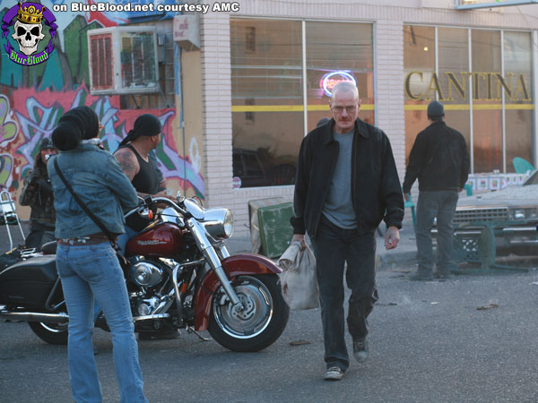 Blue Blood Breaking Bad Season 1
