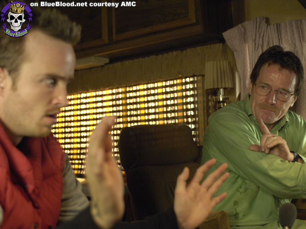 Blue Blood Breaking Bad Season 1