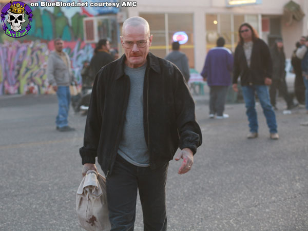 Blue Blood Breaking Bad Season 1