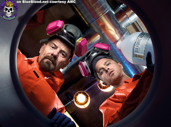 Blue Blood Breaking Bad Season 4