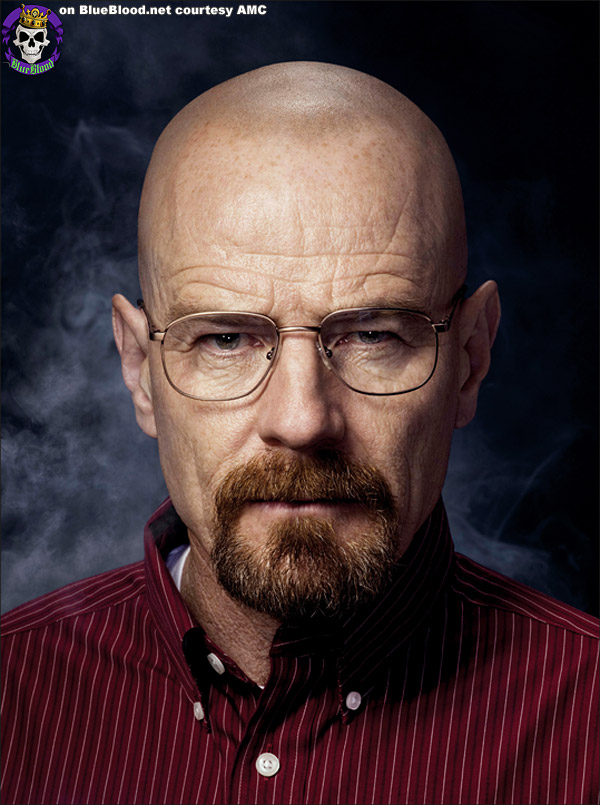 Blue Blood Breaking Bad Season 4