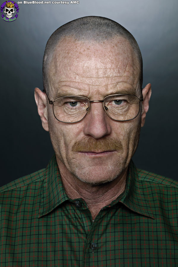 Blue Blood Breaking Bad Studio Gallery