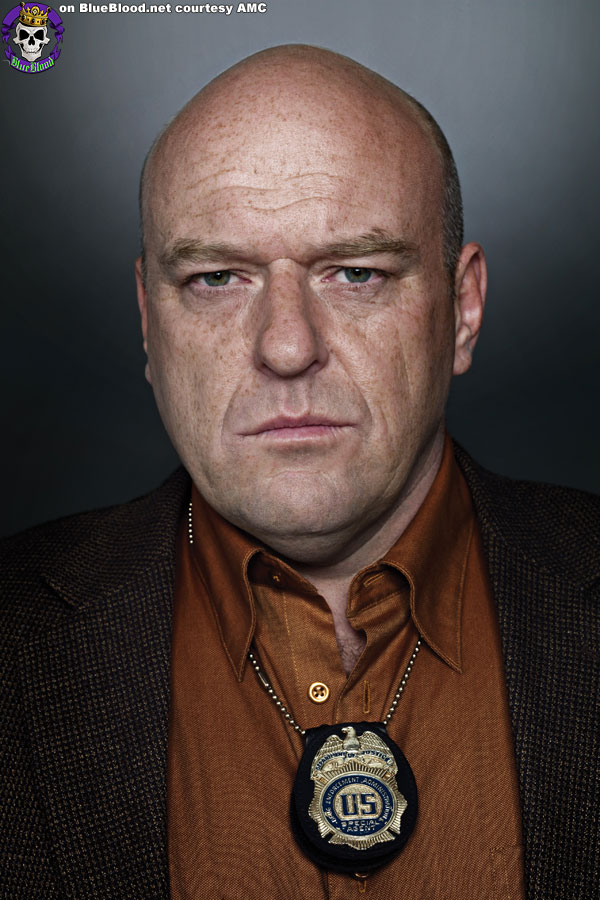 Blue Blood Breaking Bad Studio Gallery