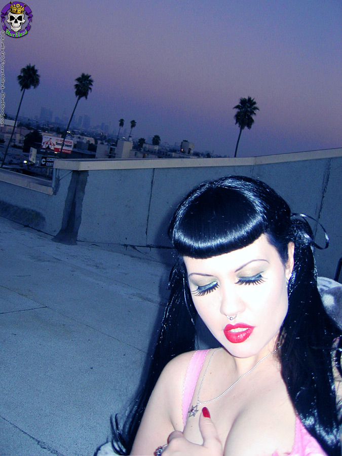 Blue Blood Dana Dark Hollywood Sunset