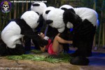 Blue Blood Pandamonium https://www.blueblood.net/gallery/pandamonium-furry-sex/th_furry-sex-gangbang.jpg