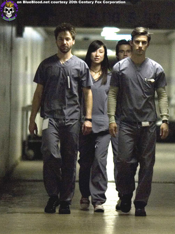 Blue Blood Pathology Movie DVD