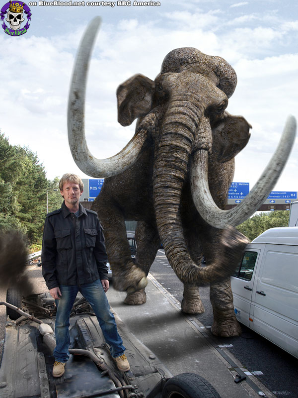 Blue Blood Primeval BBC America
