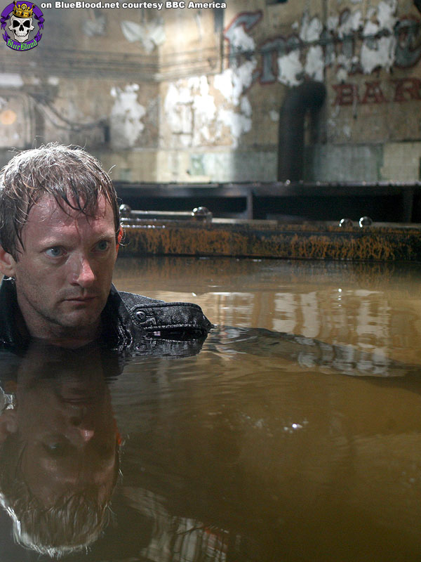 Blue Blood Primeval BBC America