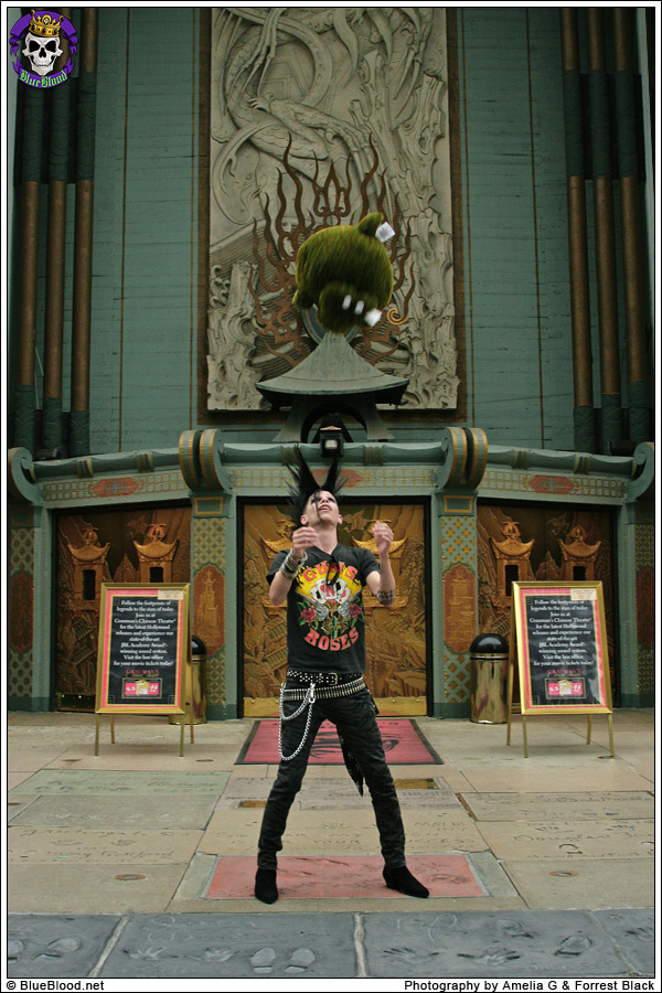 Blue Blood Squishable Alligator Clint Rexx in Hollywood