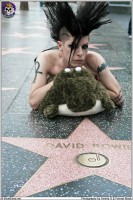 Blue Blood Squishable Alligator Clint Rexx in Hollywood https://www.blueblood.net/gallery/squishable-clint-rexx/th_squishable-clint-rexx417.jpg