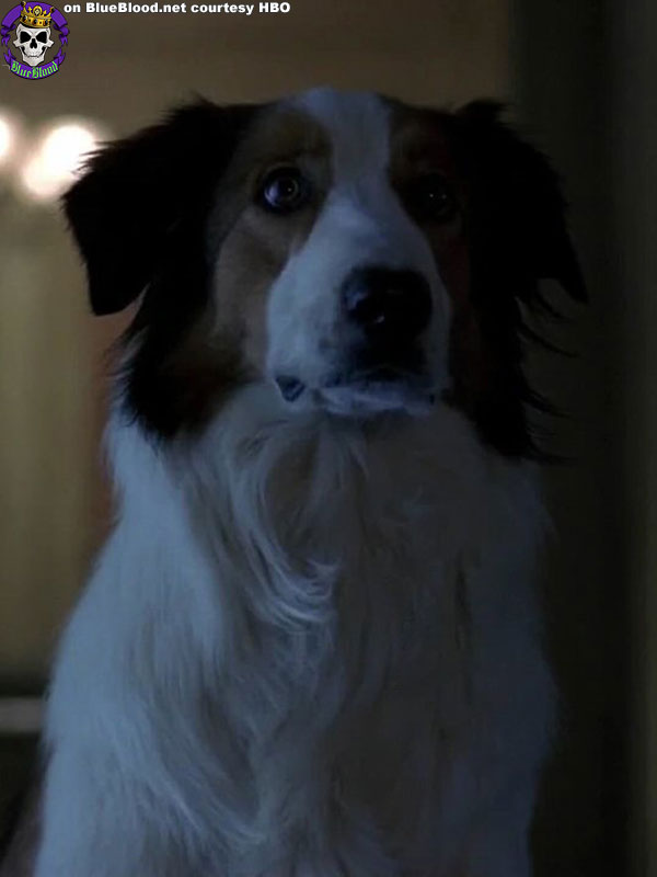 Blue Blood True Blood Episode 108 109