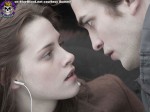 Blue Blood Twilight Vampires https://www.blueblood.net/gallery/twilight-vampires/th_twilight-movie-01.jpg