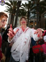 Blue Blood Zombie Walk https://www.blueblood.net/gallery/zombiewalk/th_zombieland-zombie-walk-19.jpg