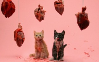 Hearts and Kittens